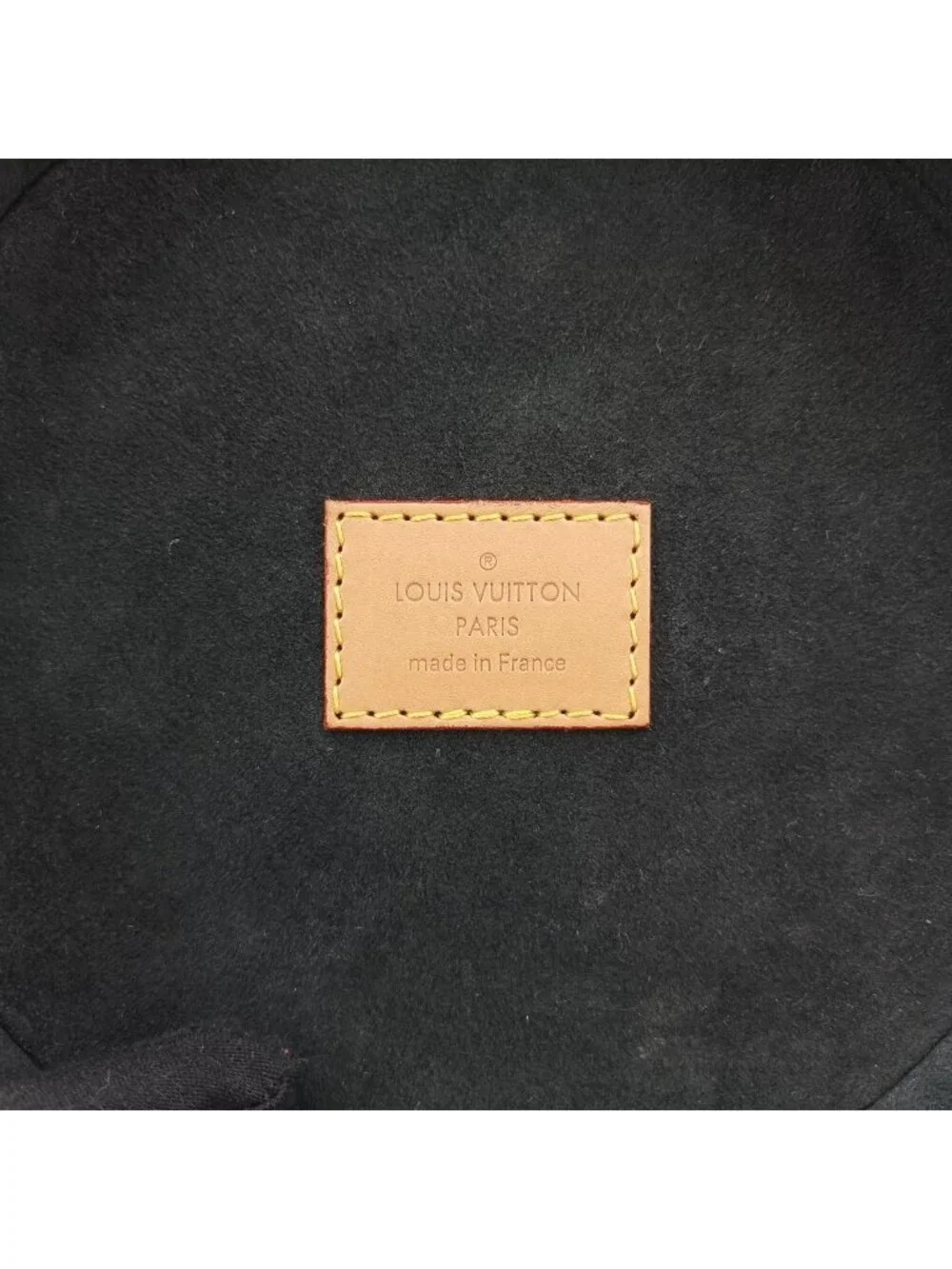 Louis Vuitton Cannes Monogram Brown Giant Reverse Vanity Bag